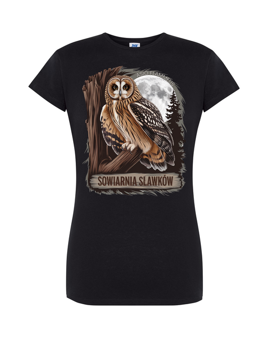 koszulka damska - sowa Asio flammeus 2