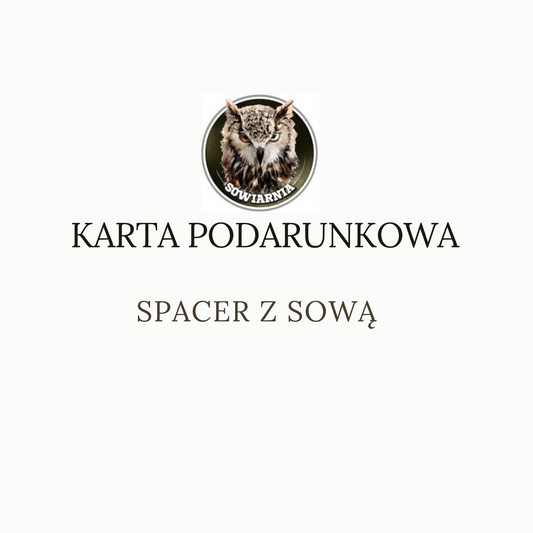 Karta prezentowa "Wizyta ze spacer z sową"