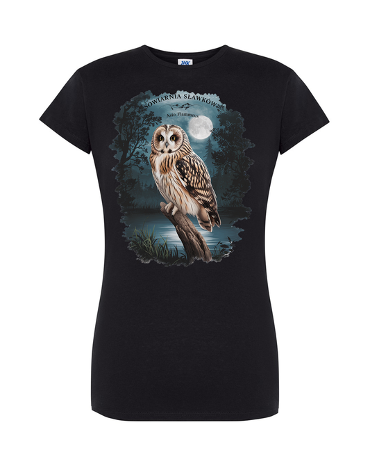 koszulka damska - sowa Asio flammeus