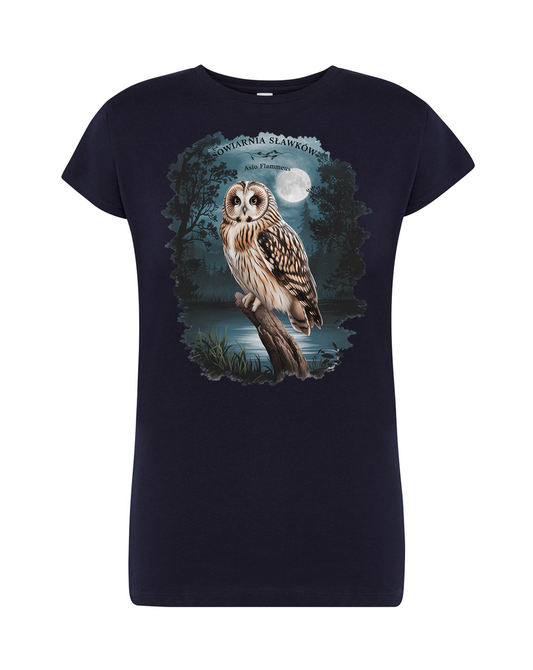 koszulka damska - sowa Asio flammeus
