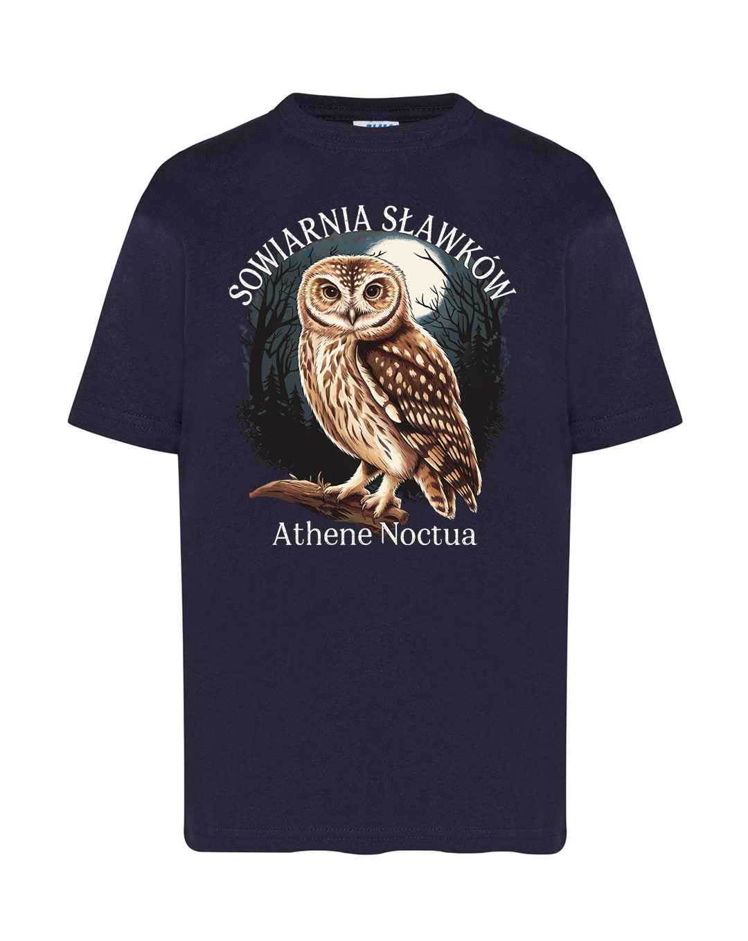 koszulka dziecięca - sowa Athene noctua